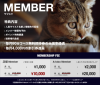 お得情報のご案内です